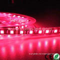 Factory CE&RoHS waterproof 5050 addressable rgb led strip